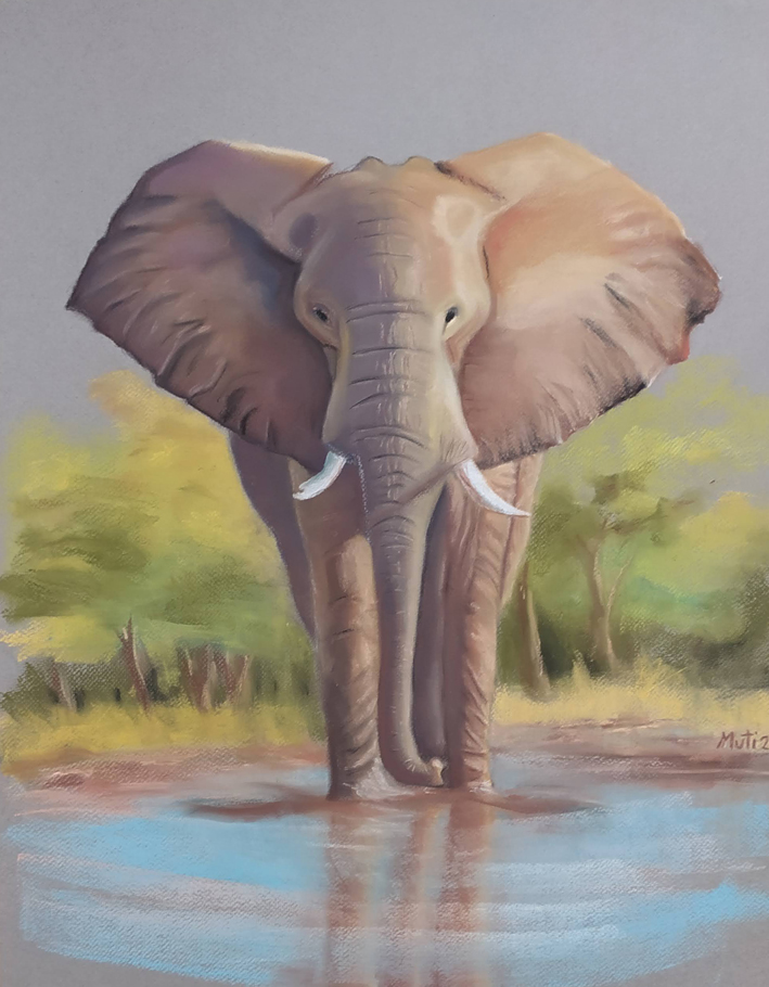 pastel-papel-academia-arte-logroño-birigay-elefante-muti-