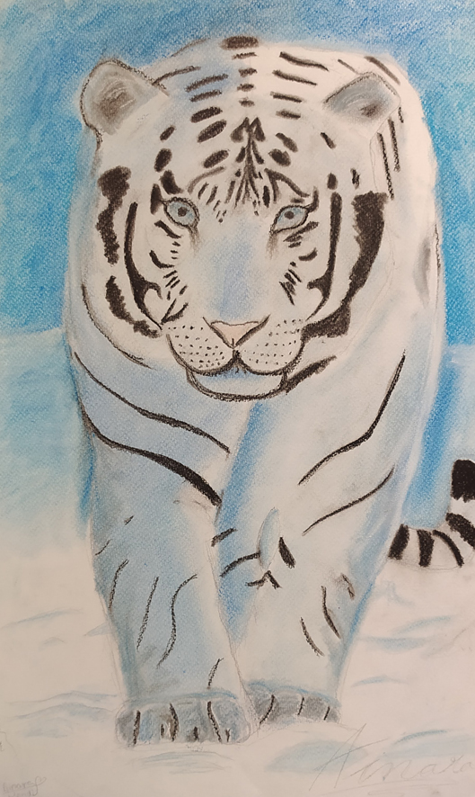 tigre blanco pintado con pastel en la academia Birigay